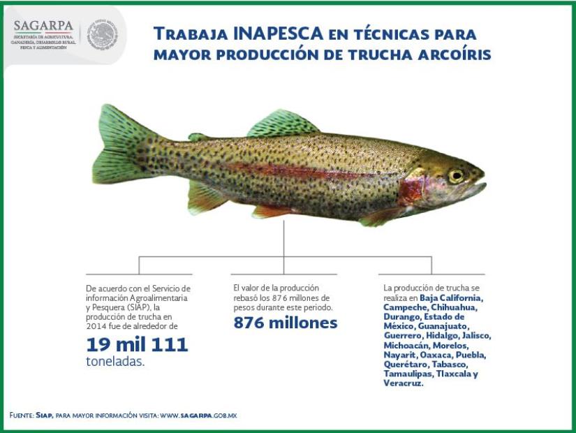 Seafood Media Group Noticias Empresa de Baja California apuesta por el cultivo de trucha Seafood Media Group Noticias Empresa de Baja California apuesta por el cultivo de trucha